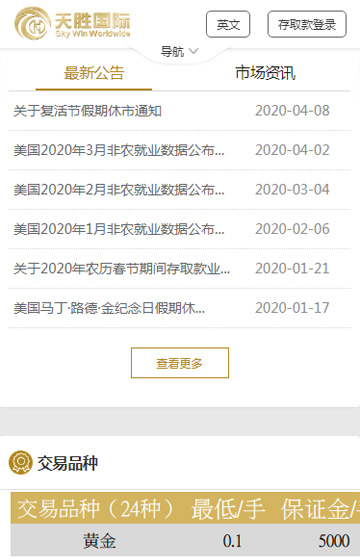 天勝國際網站案例圖片1