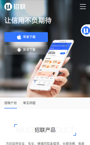 招聯(lián)金融網(wǎng)站案例圖片3
