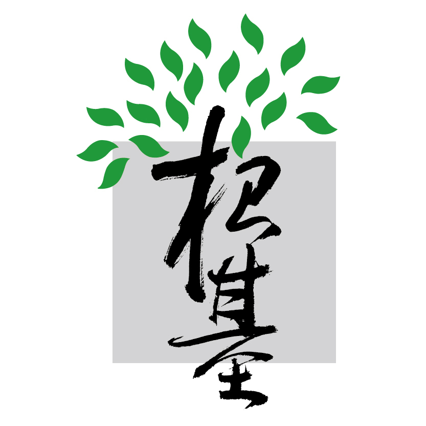 網(wǎng)站設(shè)計(jì)基礎(chǔ)